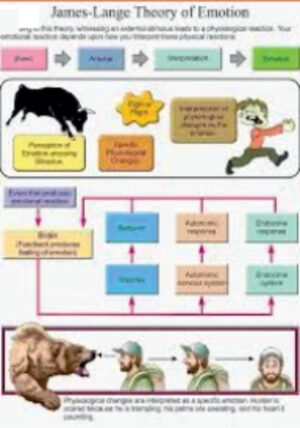 PSYCHOLOGY CHARTS (51) CHART