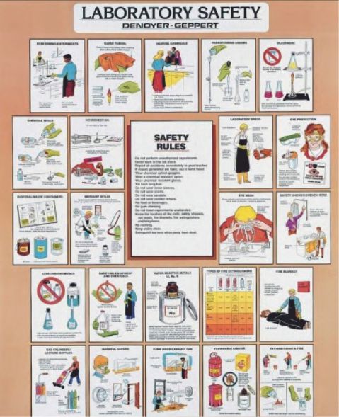 LAB SAFETY CHARTS