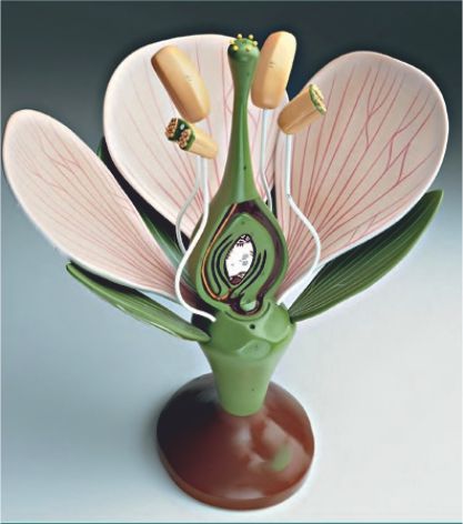 MODELS OF FLOWERS