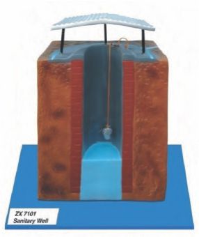 COMMUNITY HEALTH MODELS